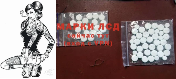 шишки Баксан