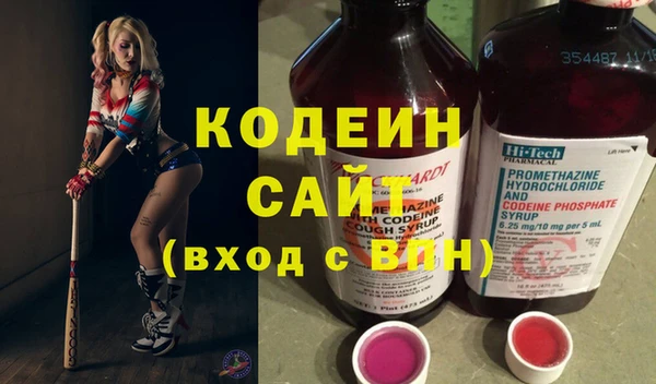 шишки Баксан